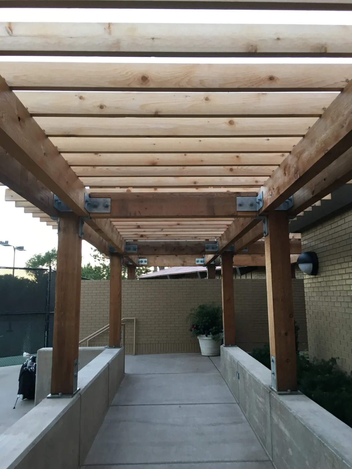 Timber Canopy with Steel Support Connections